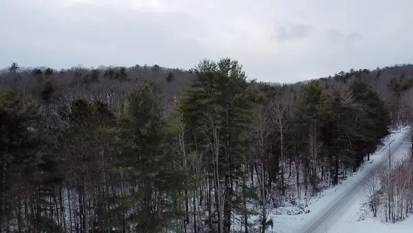 0 Bear Creek Road, Tioga, PA 16946