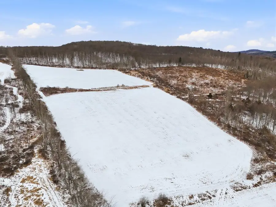 45.98 Rt 187, Rome, PA 18837 - Image #3