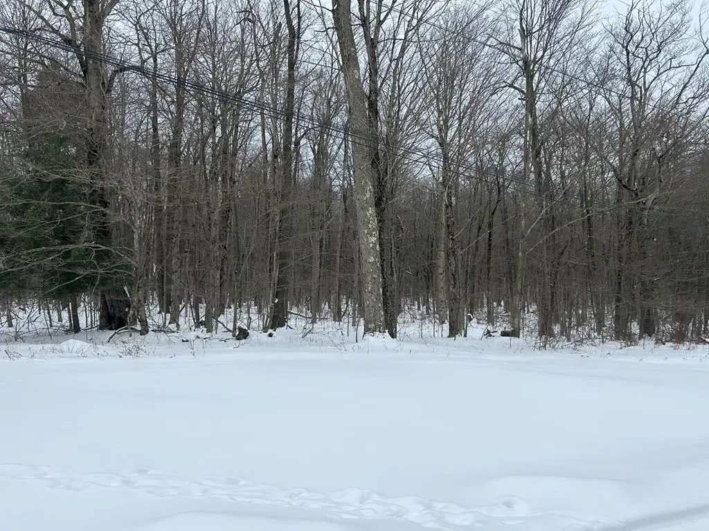 000 Cherry Springs Road, Coudersport, PA 16915 - Image #1