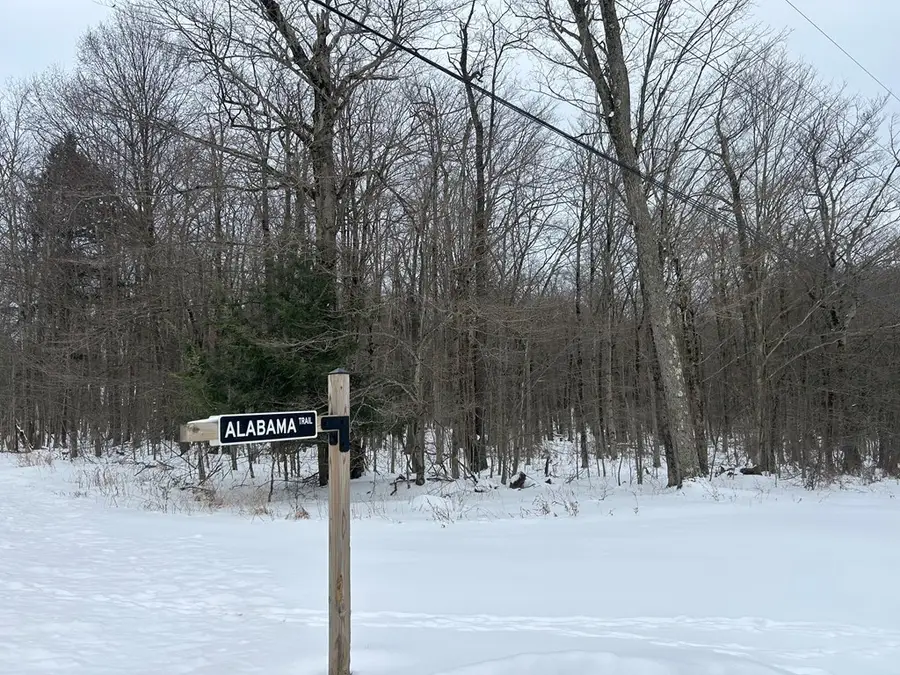 000 Cherry Springs Road, Coudersport, PA 16915 - Image #2