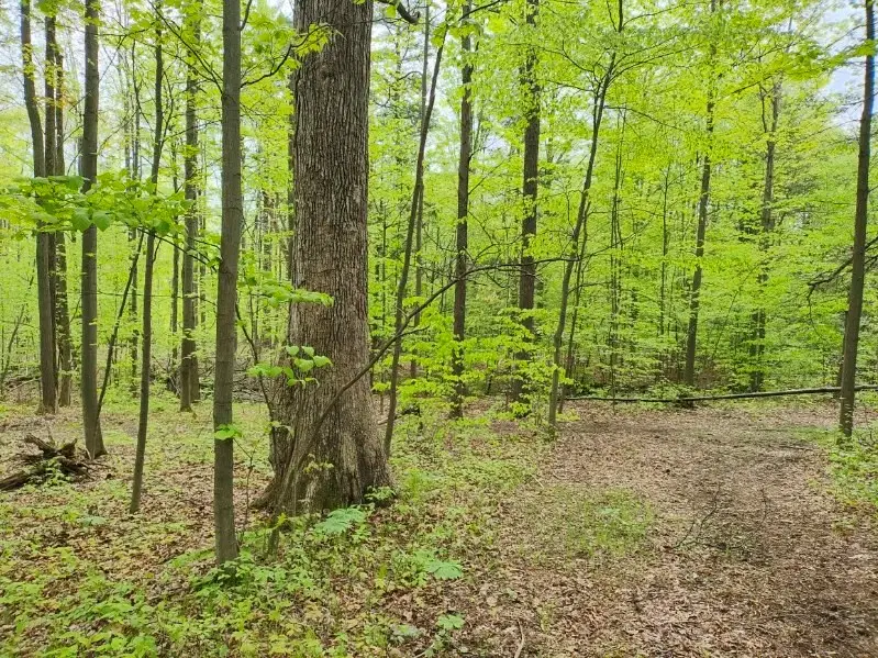 263 Jersey Hill Road, Ithaca, NY 14850 - #3