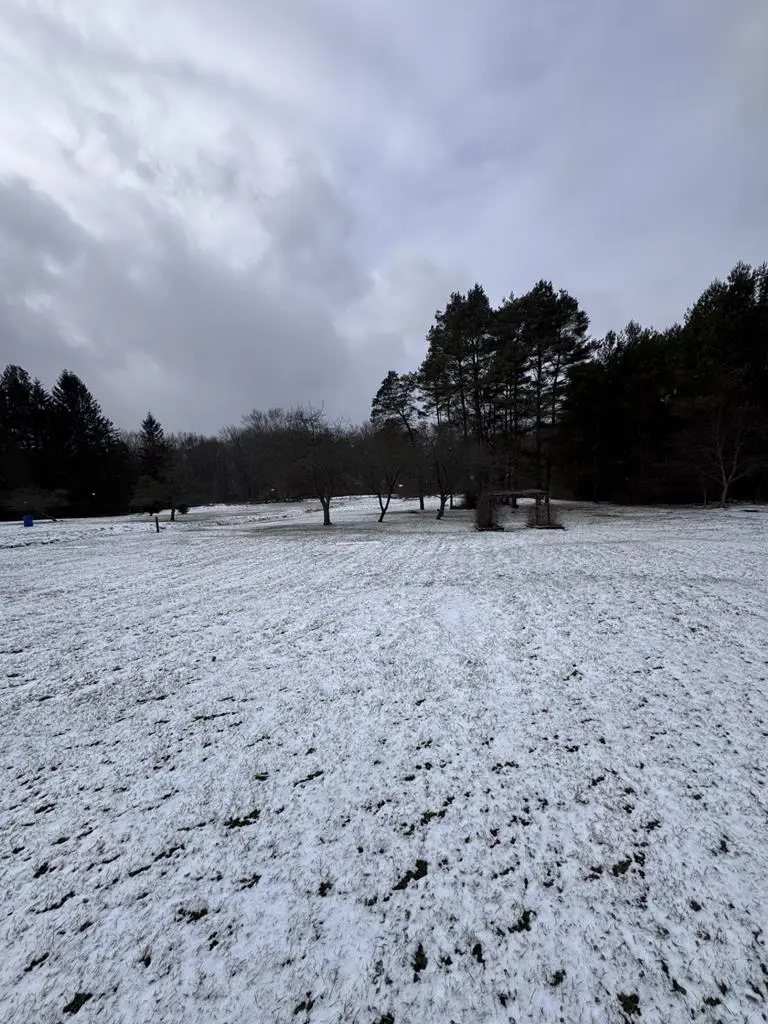 3401 Route 446, Eldred, PA 16731 - #2