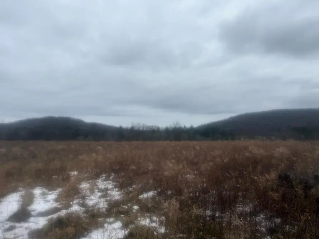 72 Pinney Lane, Shinglehouse, PA 16748 - Image #1