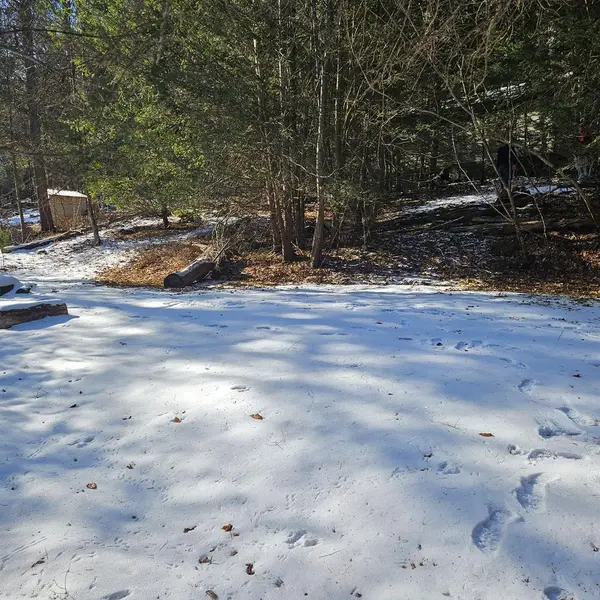 0 First Fork Rd., Sinnemahoning, PA 15861