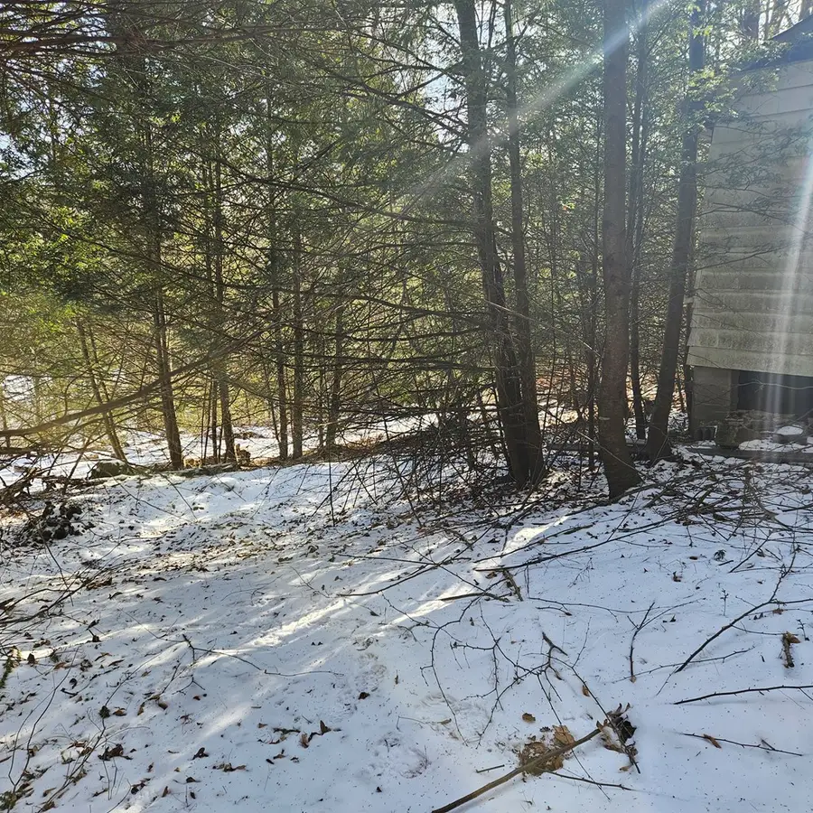 0 First Fork Rd., Sinnamahoning, PA 15861 - #2