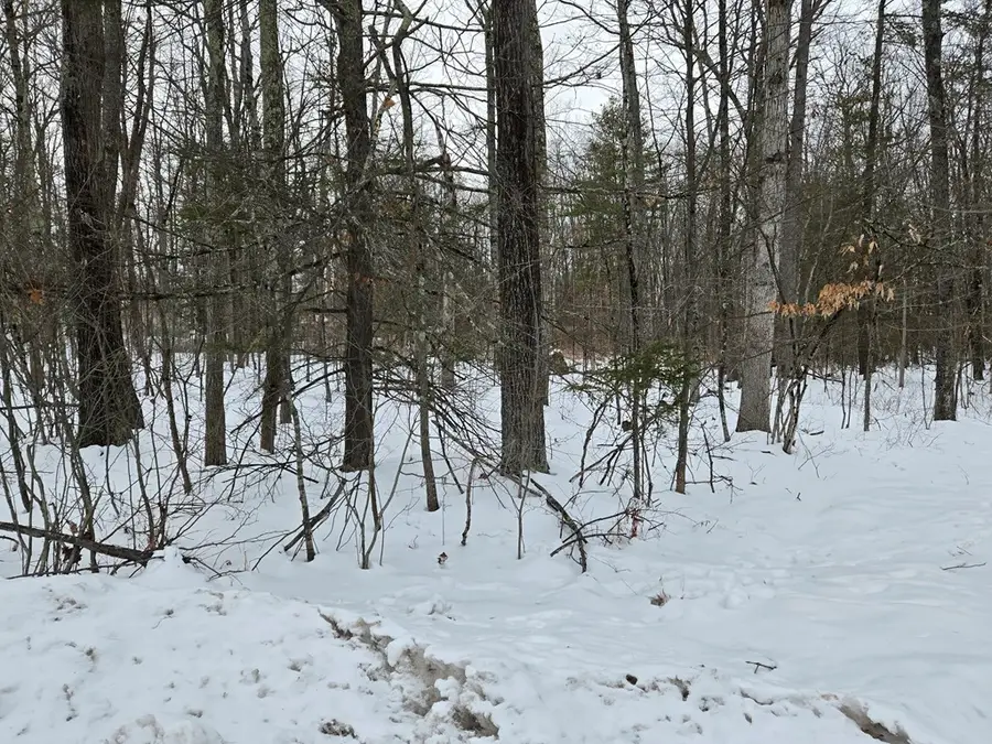 863 Route 409, Wyalusing, PA 18853 - #3