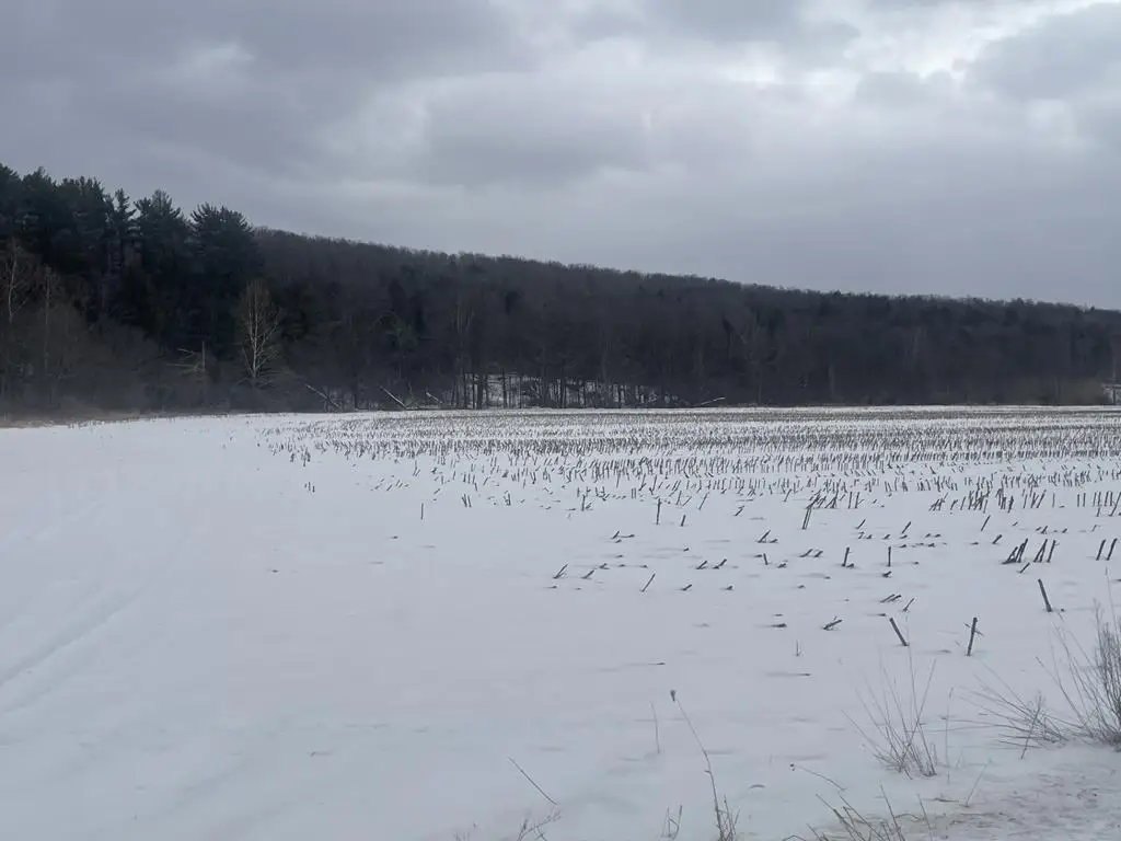 0 Cadis Road, Rome, PA 18837 - #1