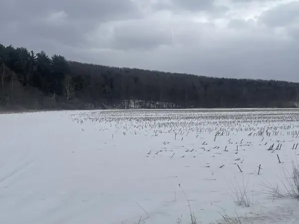 0 Cadis Road, Rome, PA 18837