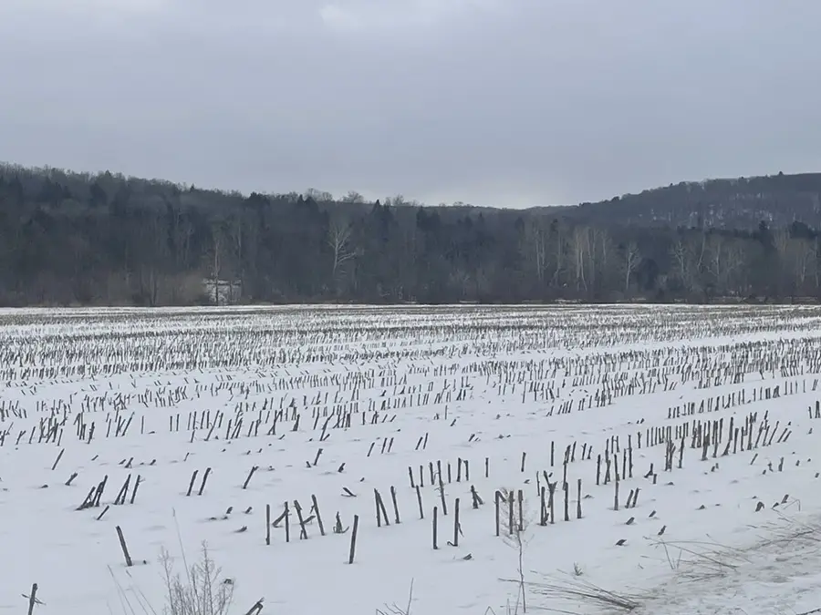 0 Cadis Road, Rome, PA 18837 - #2