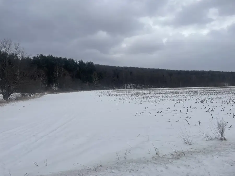 0 Cadis Road, Rome, PA 18837 - #3