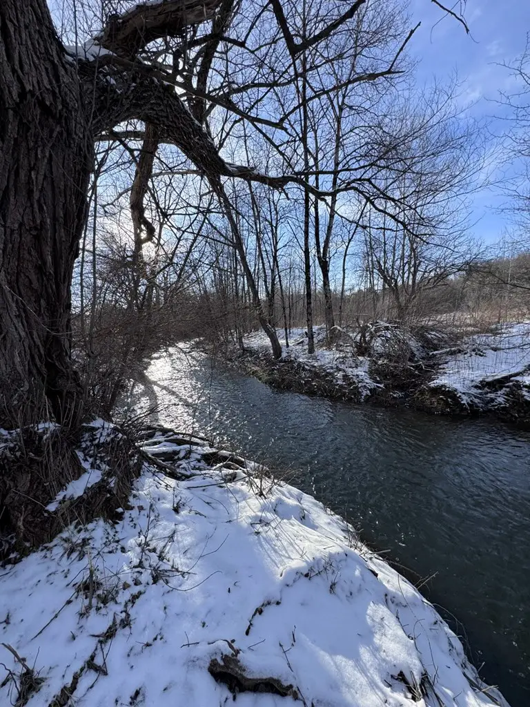 1368 Looker Mt. Trail, Rixford, PA 16745 - #2