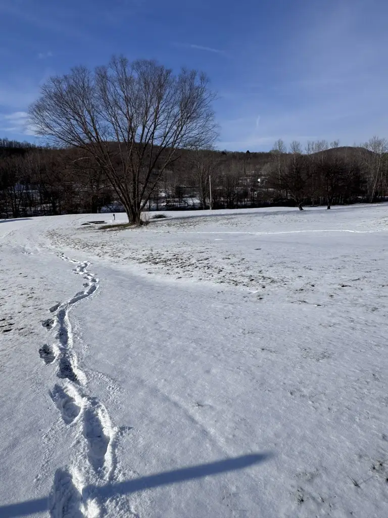 1368 Looker Mt. Trail, Rixford, PA 16745 - #3