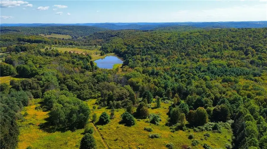 1290 Ayres Road, Gillett, PA 16925 - #3