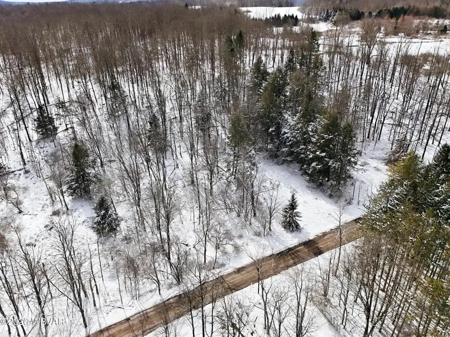 814 Route 4008, Forksville, PA 18616 - #2