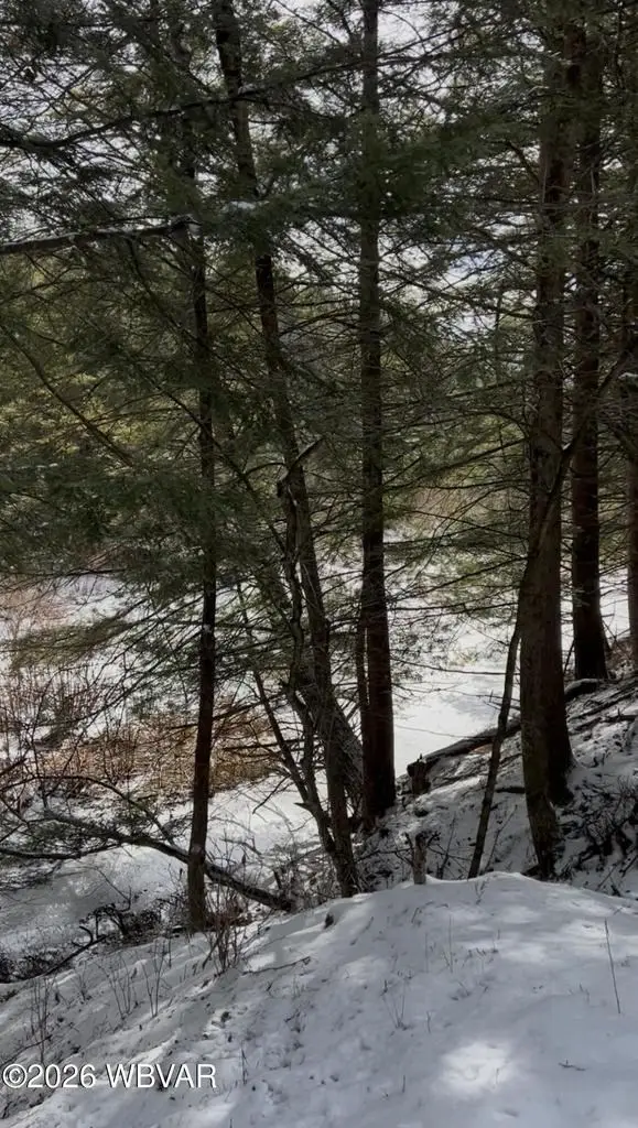 814 Route 4008, Forksville, PA 18616 - #3