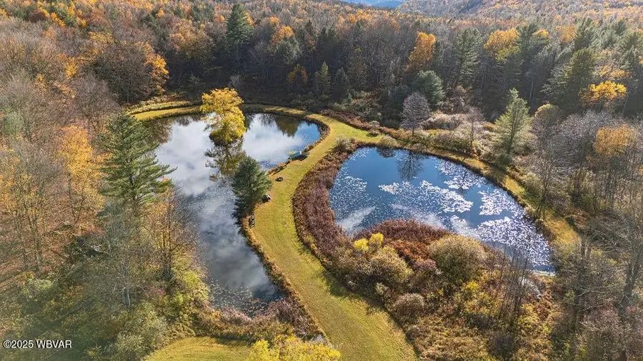 1382 Bear Mountain Road, Forksville, PA 18616 - #3