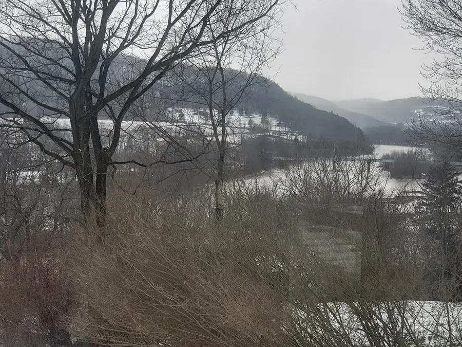 237 Second Street, Laceyville, PA 18623 - #3