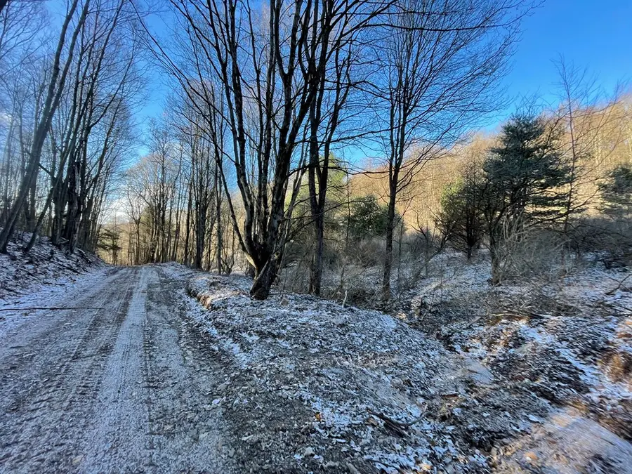 00 Fox Hollow Rd, Roulette, PA 16746 - #2