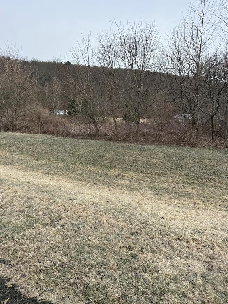 0 Wilcox Estate Dr, Waverly, NY 14892 - #1