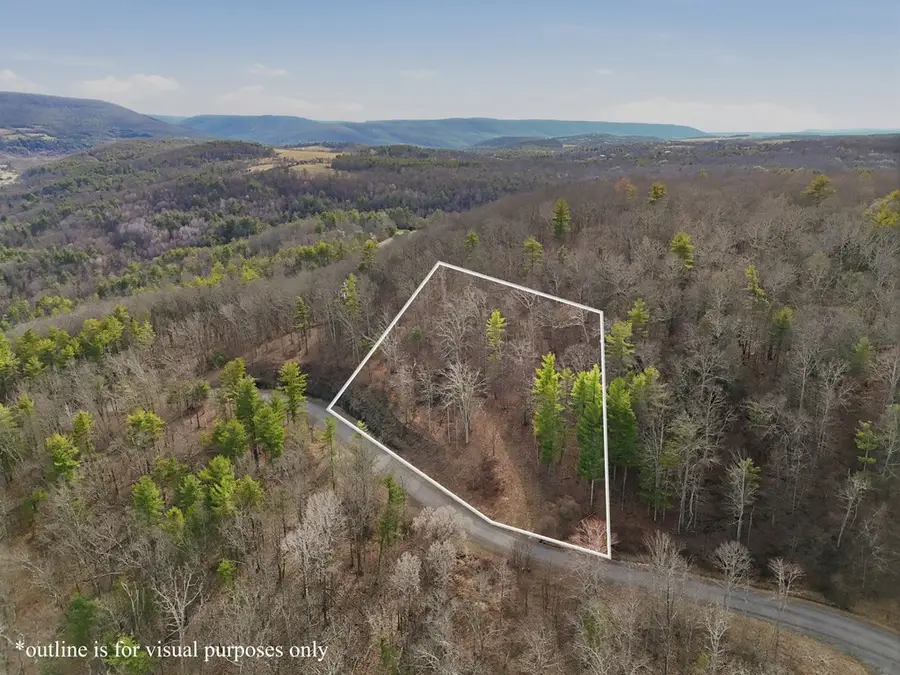 Lot33&34 Hemlock Hills Rd, Towanda, PA 18848 - #2