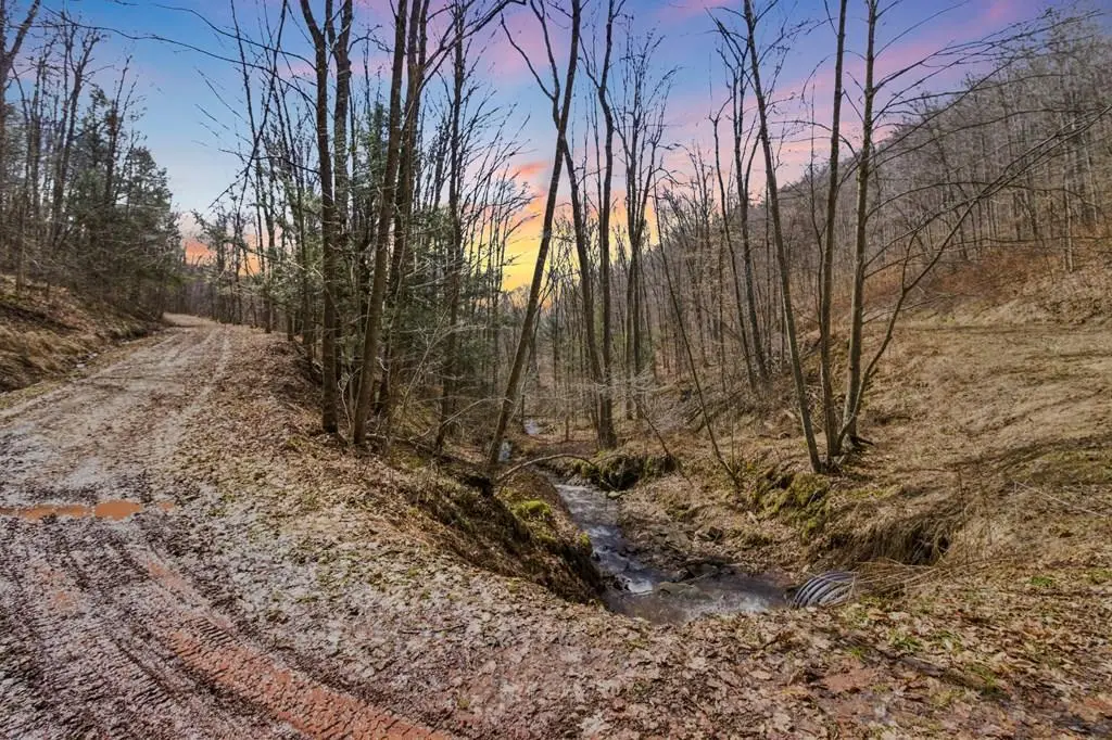 00 Dodge Hollow Road, Emporium, PA 15834 - #1