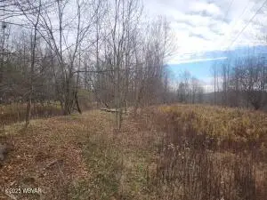 1750 Murphy Road, New Albany, PA 18833