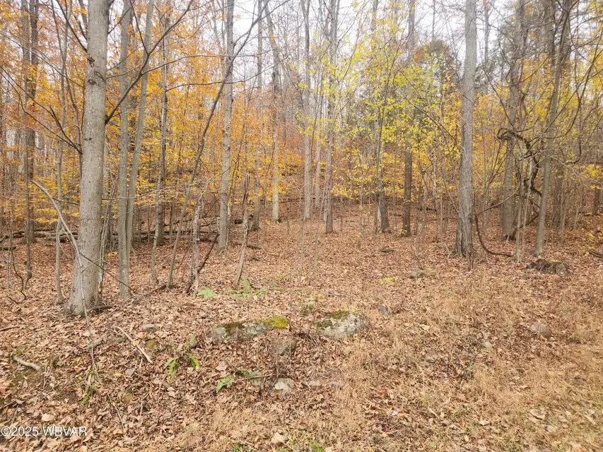 1750 Murphy Road, New Albany, PA 18833 - #3