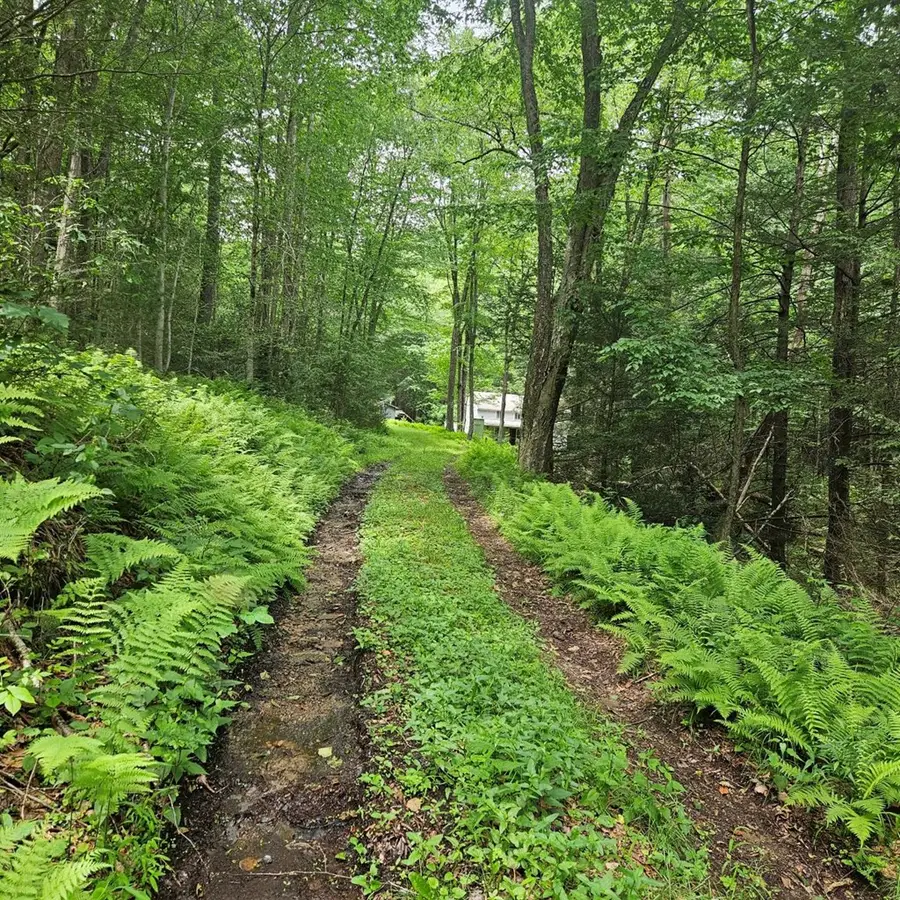 1992 Beaverdam Rd., Renovo, PA 17764 - #2