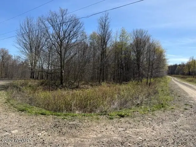 Parc 037 Revelation Road, Shunk, PA 17768 - #1