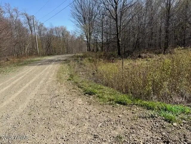 Parc 037 Revelation Road, Shunk, PA 17768 - #2