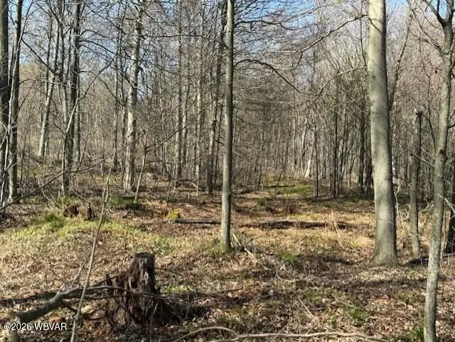 Parc 031 Glory Ridge Road, Shunk, PA 17768 - #2