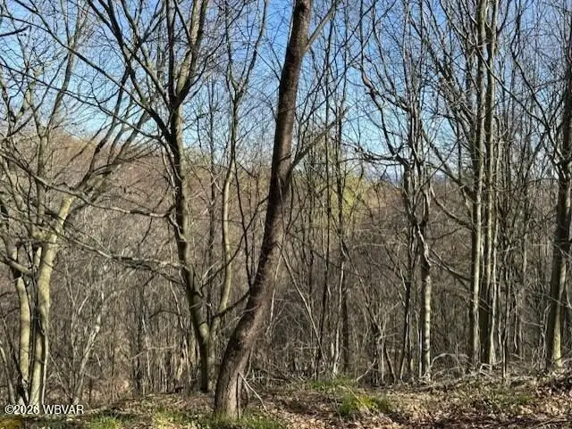 Parc 031 Glory Ridge Road, Shunk, PA 17768 - #3