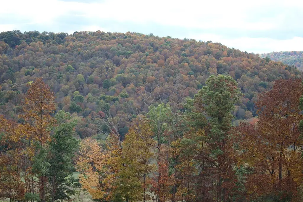 000 Coryland Road, Columbia Cross Roads, PA 16914 - #1