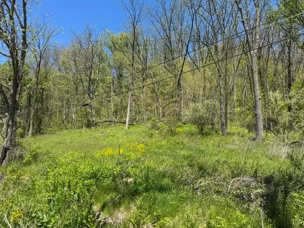 0 Sheshequin Rd, Towanda, PA 18848