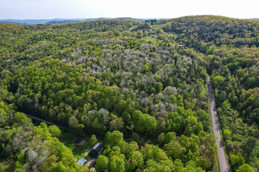 300 Miller Hollow Road, Waverly, NY 14892 - #3