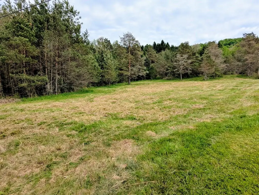2 Two Mile, Port Allegany, PA 16743 - #1