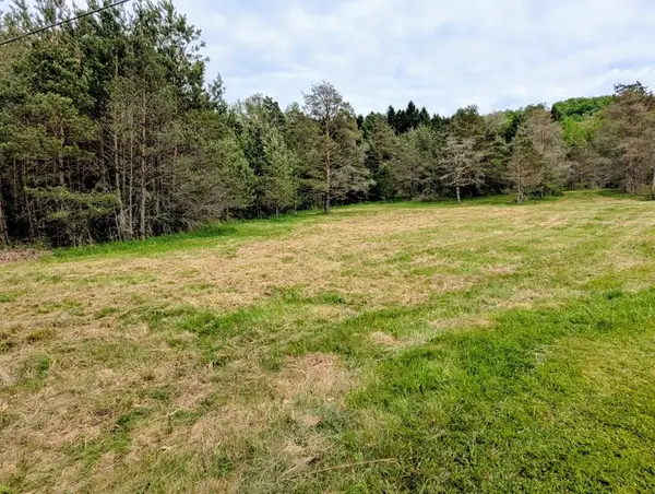 2 Two Mile, Port Allegany, PA 16743