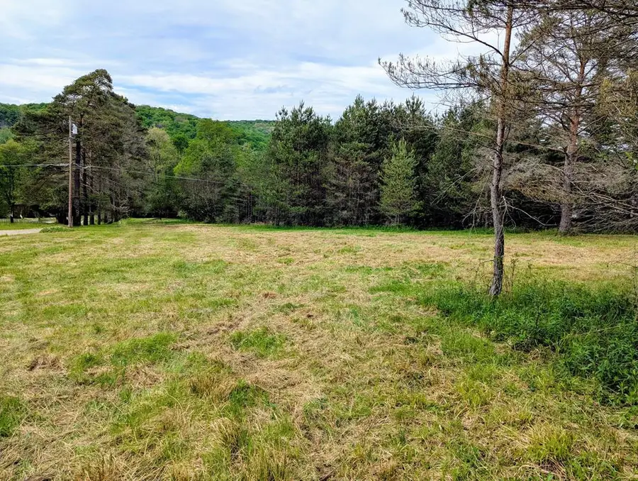 2 Two Mile, Port Allegany, PA 16743 - #2