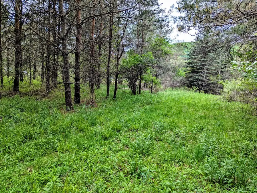 2 Two Mile, Port Allegany, PA 16743 - #3