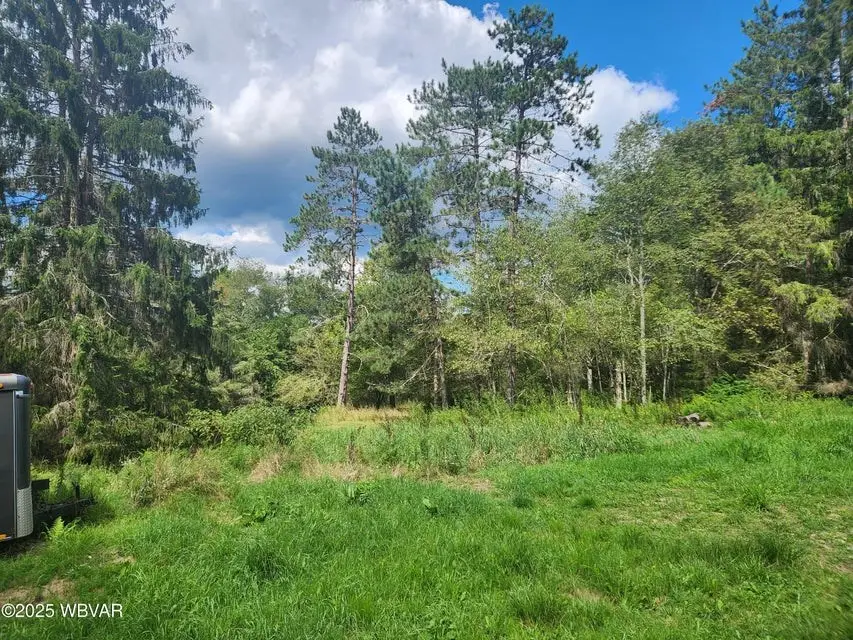 1050 Old Bernice Road, Mildred, PA 18632 - #3