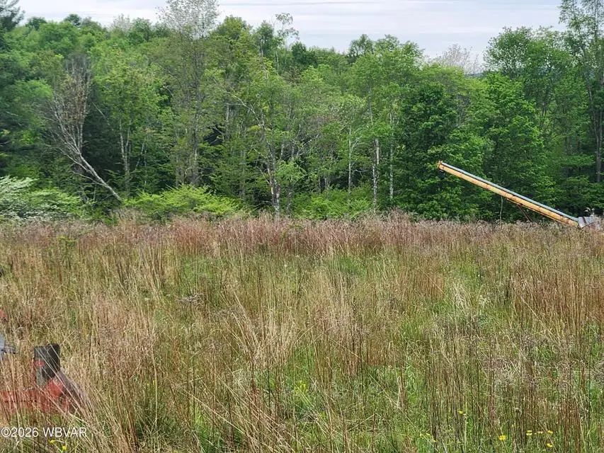 Lot 3 Dykes Road, Forksville, PA 18616 - #1