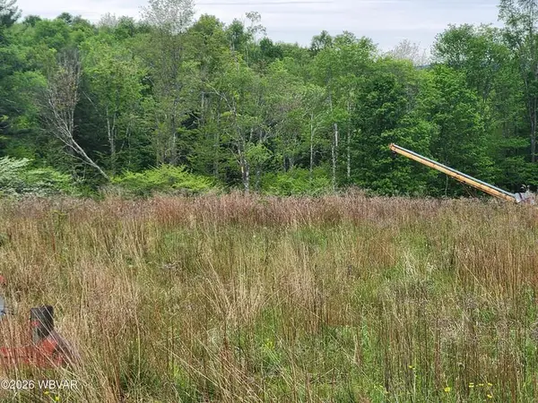 Lot 3 Dykes Road, Forksville, PA 18616