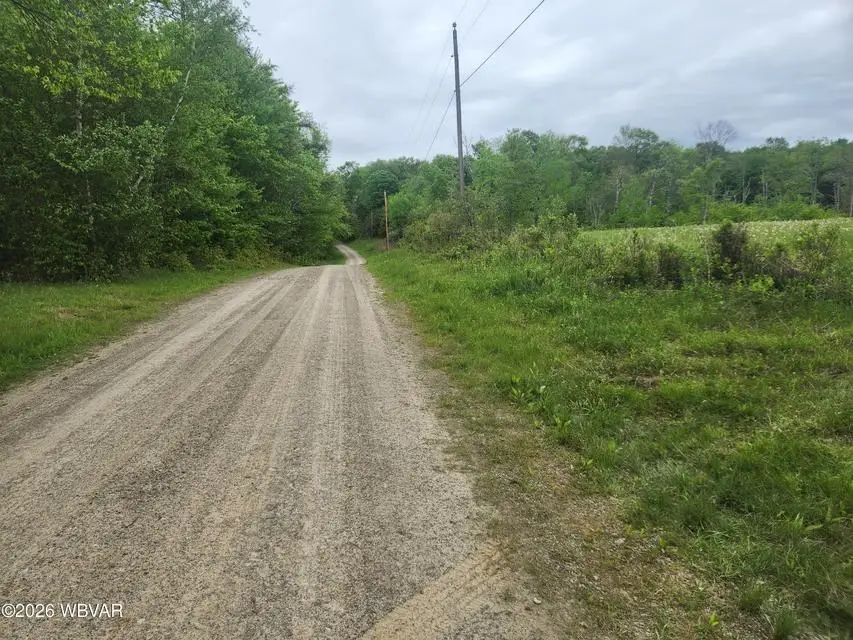 Lot 3 Dykes Road, Forksville, PA 18616 - #2