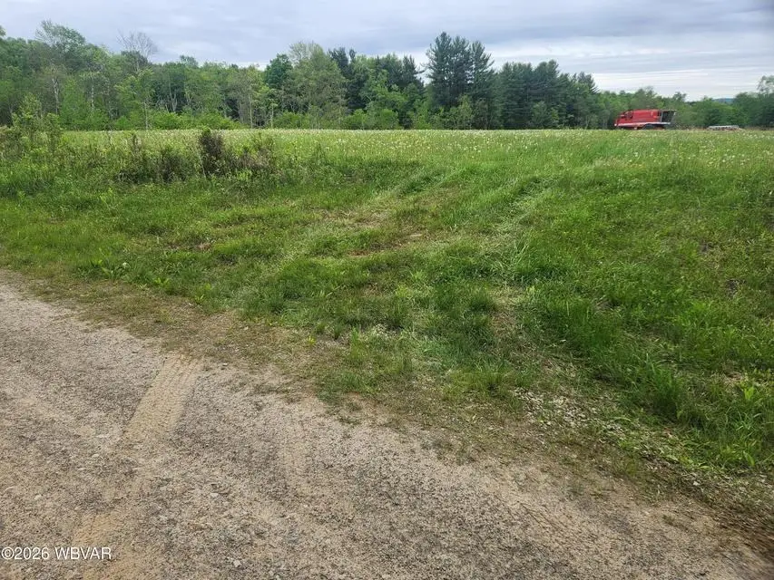 Lot 3 Dykes Road, Forksville, PA 18616 - #3