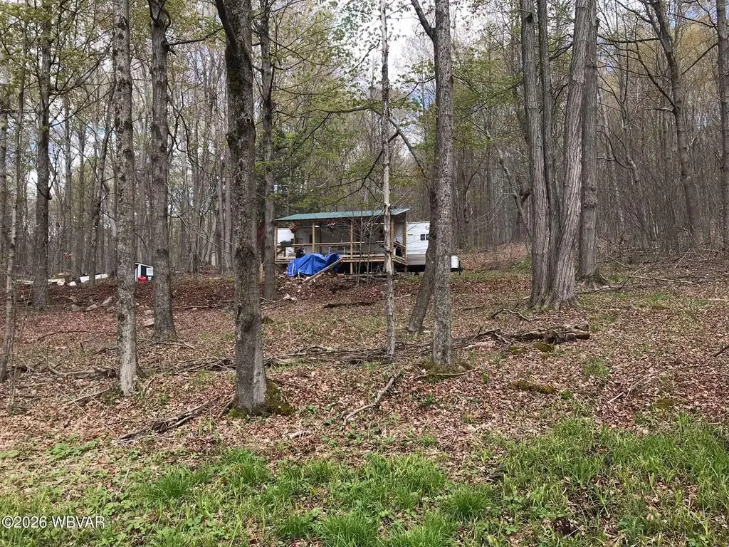 Lot 11 Birch Hill Road, Shunk, PA 17768 - #1