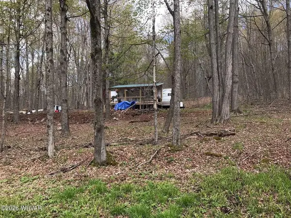 Lot 11 Birch Hill Road, Shunk, PA 17768