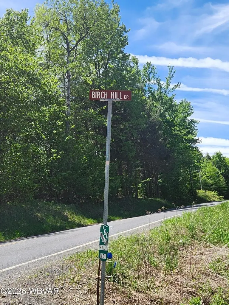 Lot 11 Birch Hill Road, Shunk, PA 17768 - #3