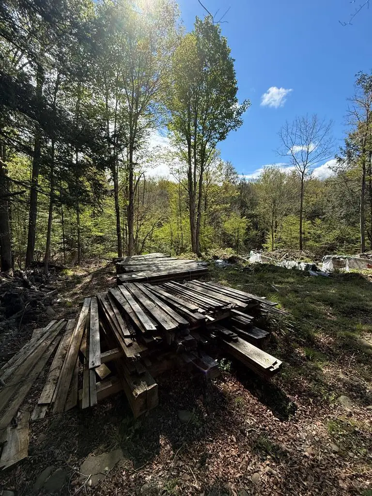 0 Hemlock Circle, Wellsboro, PA 16901 - #2