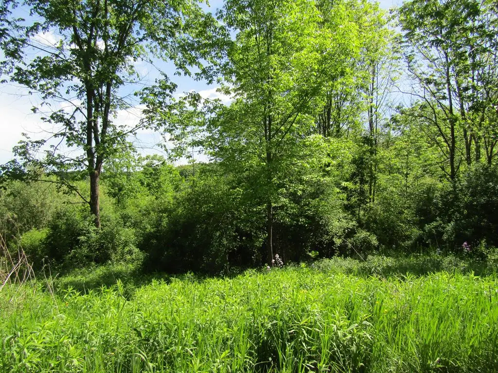 1779 Packard Rd, Covington, PA 16917 - #1