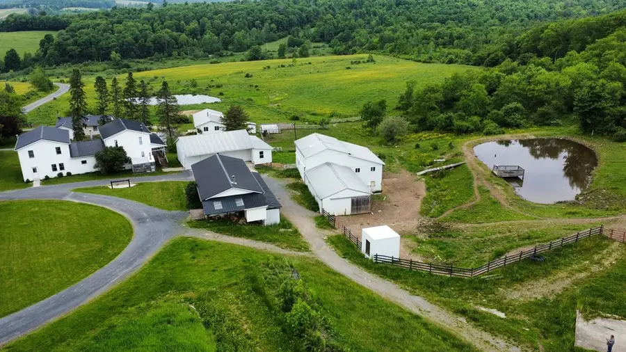 886 Collins Hill Rd, Genesee, PA 16923 - #2